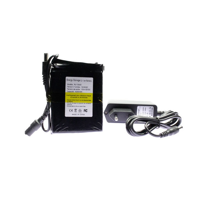 Mini batterie rechargeable 12 volts 4200mAh